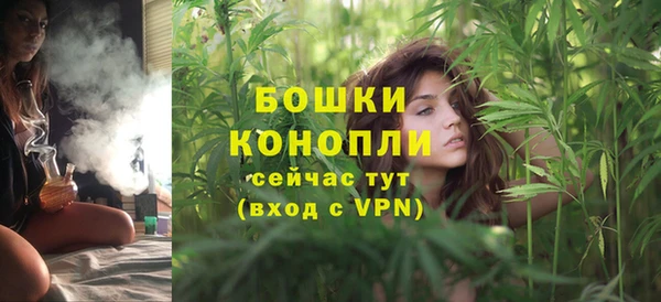 спиды Липки
