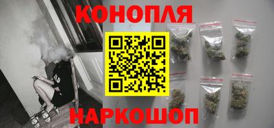 шишки Можга