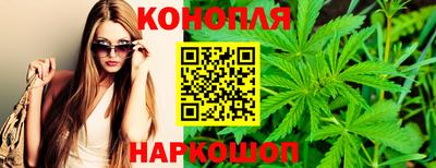 шишки Можга