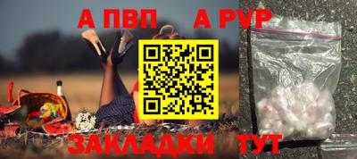 шишки Можга