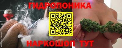 шишки Можга