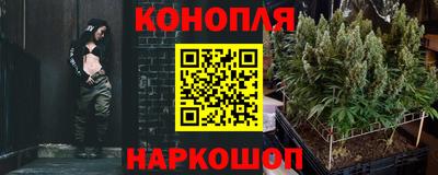 шишки Можга