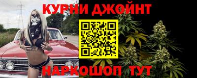 шишки Можга