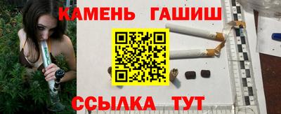 шишки Можга