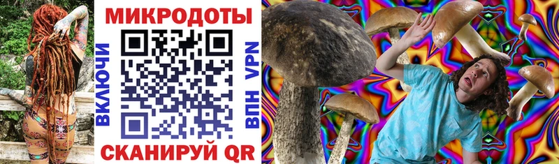 Псилоцибиновые грибы мицелий  Якутск 