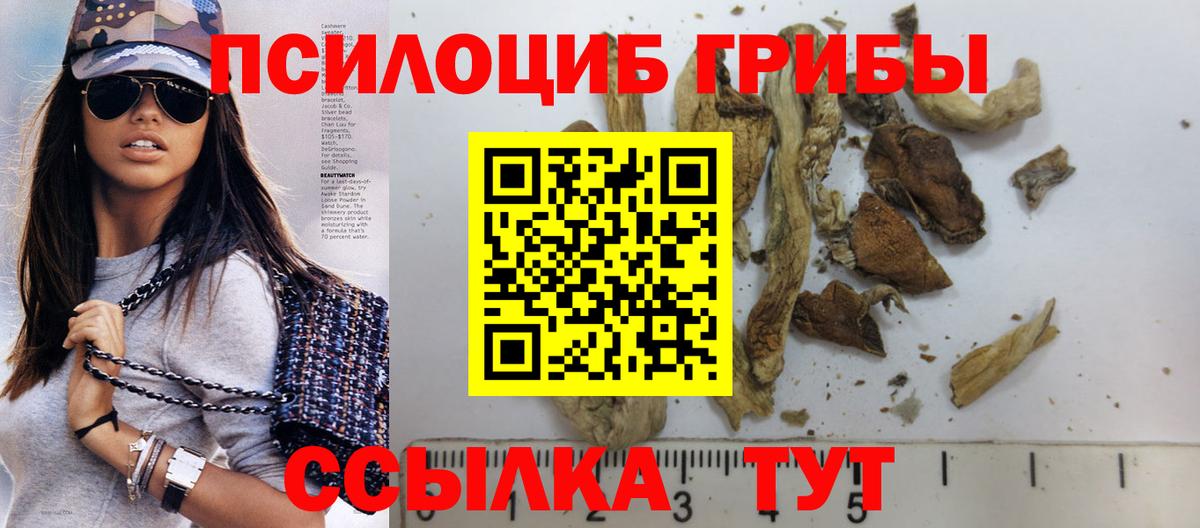 Псилоцибиновые грибы Psilocybe  Псилоцибиновые грибы мицелий  Вход с VPN  Якутск 
