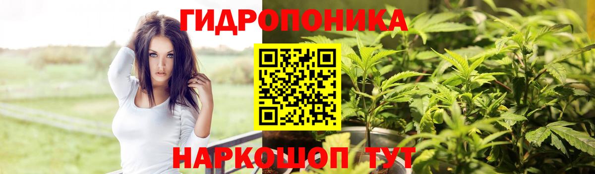 Каннабис Bruce Banner Якутск